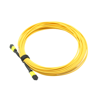 12F MTP-MTP Trunk Cable
